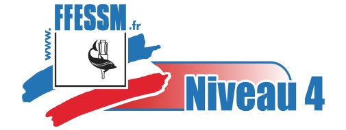 logo-niveau iv